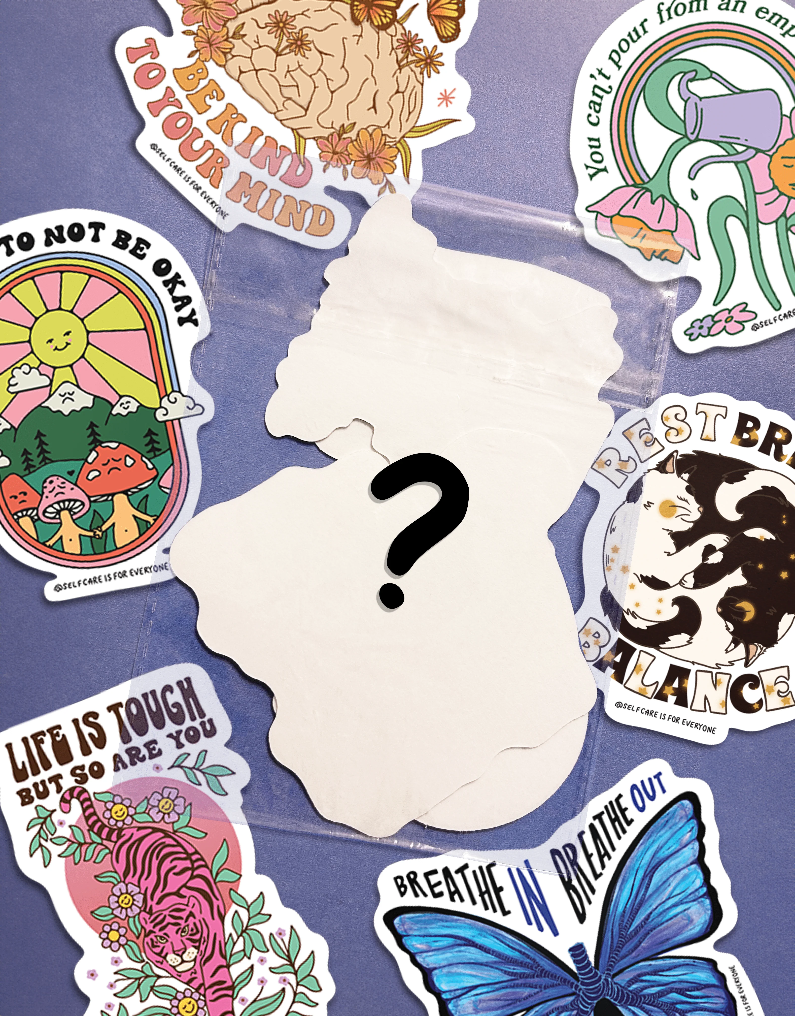 Mystery Sweatshirt Box - Image 4